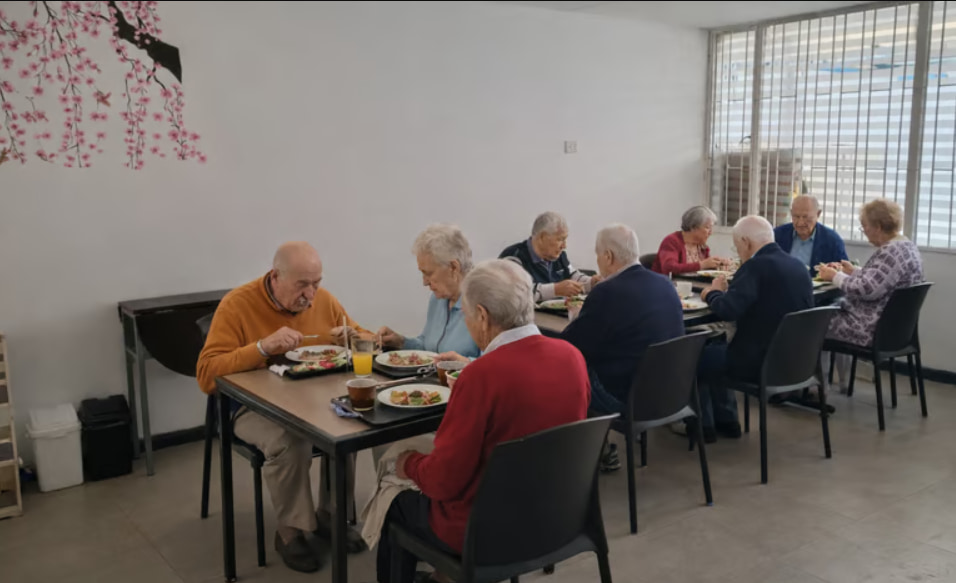 Alimentación Balanceada